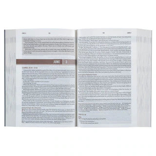Blue Mountain Softcover NLT Everyday Devotional Bible for Men
