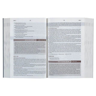 Blue Mountain Softcover NLT Everyday Devotional Bible for Men