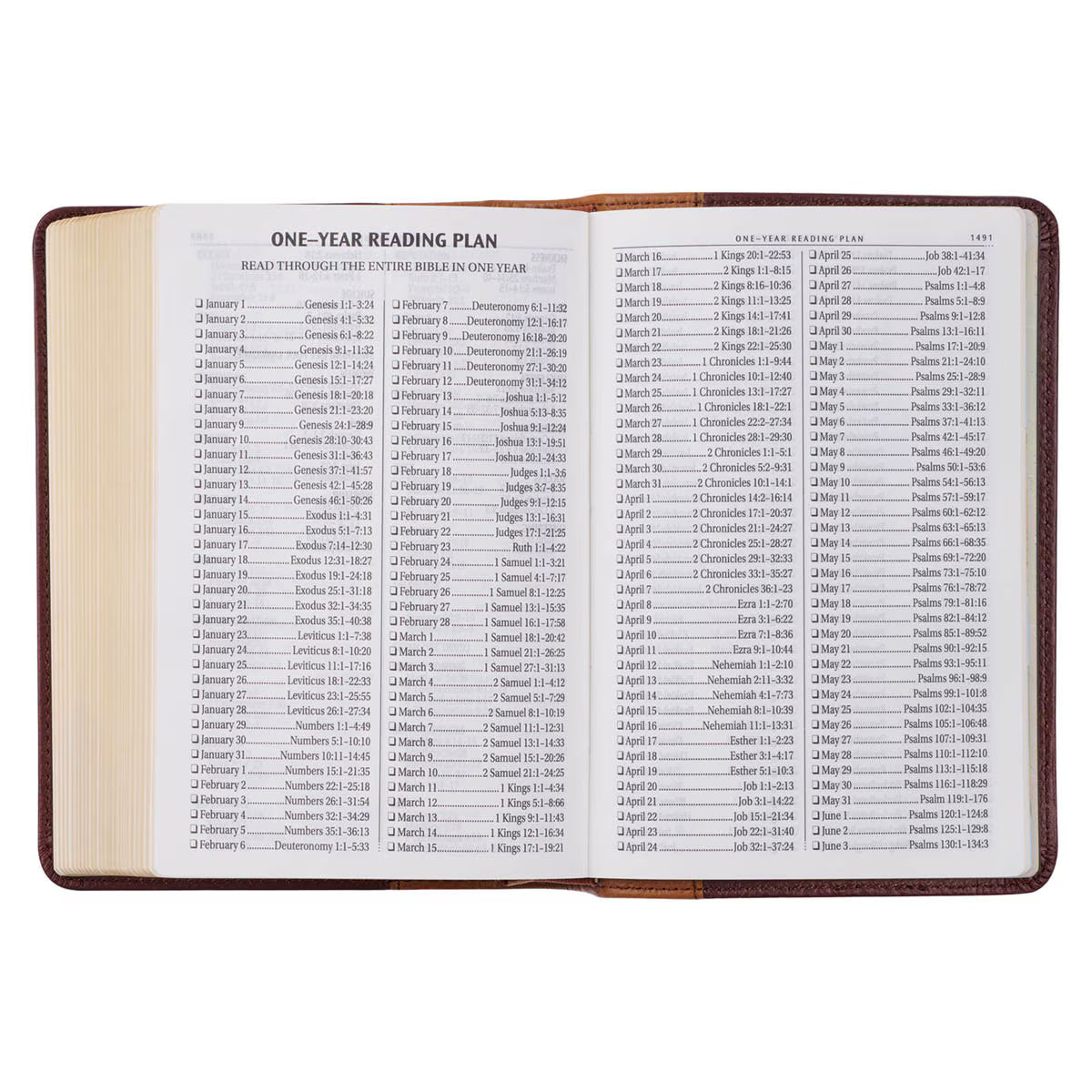Saddle Tan and Butterscotch Large Print Compact KJV Bible