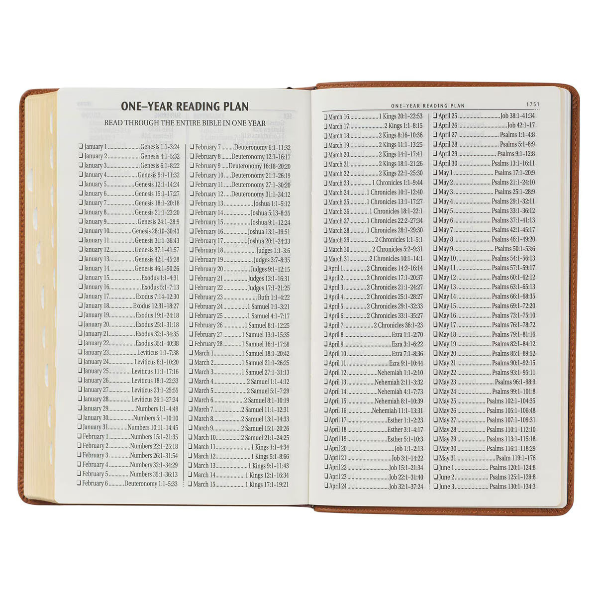Toffee Brown Full Grain Leather Giant Print King James Version Bible with Thumb Index