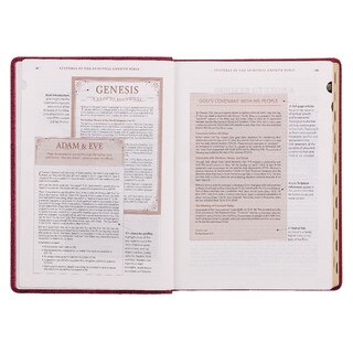 Berry Faux Leather Spiritual Growth Bible