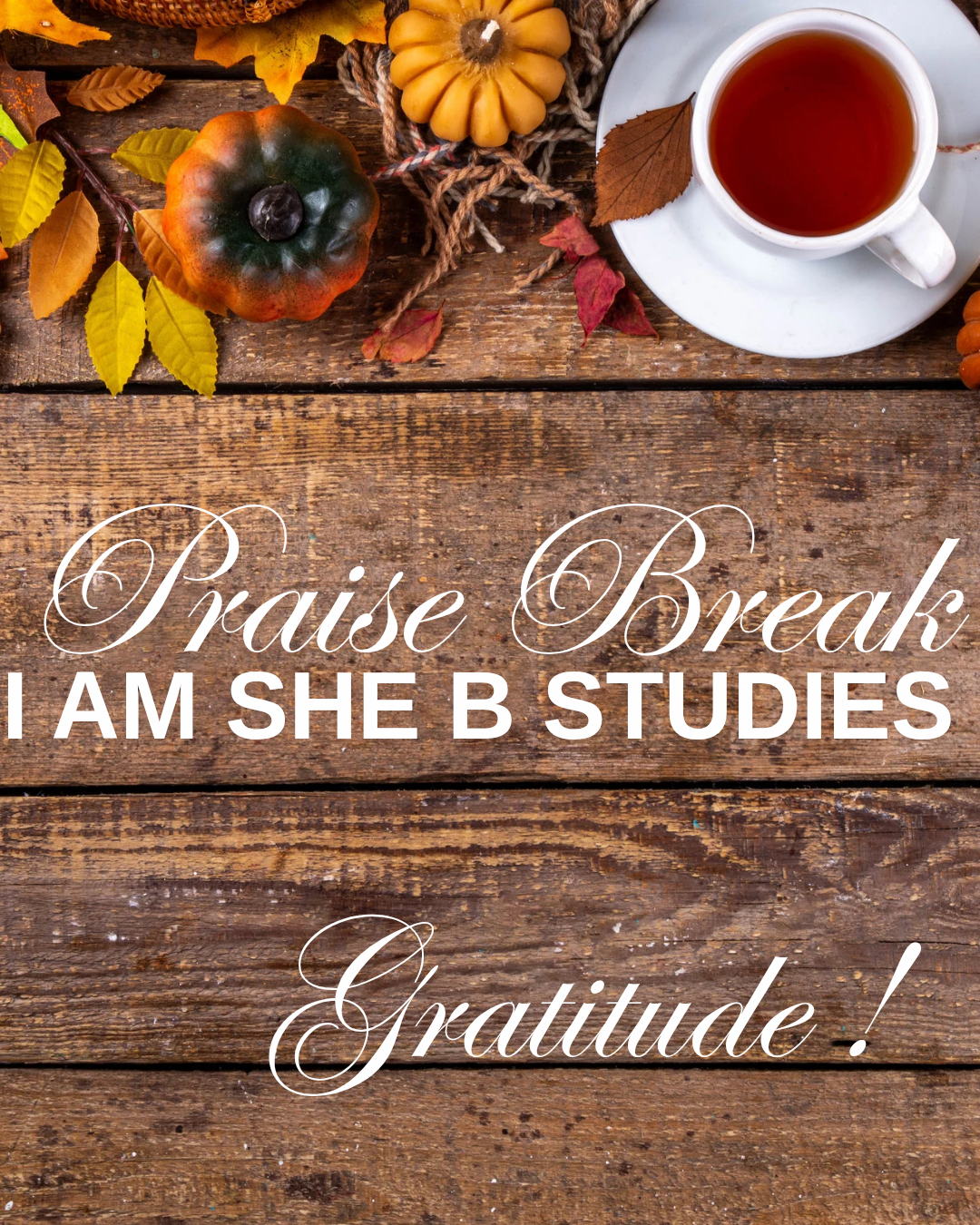 I AM SHE B STUDIES: Praise Break - Gratitude