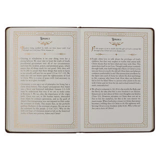 Large Print Edition Daily Devotions from the KJV Brown Faux Leather Devotional