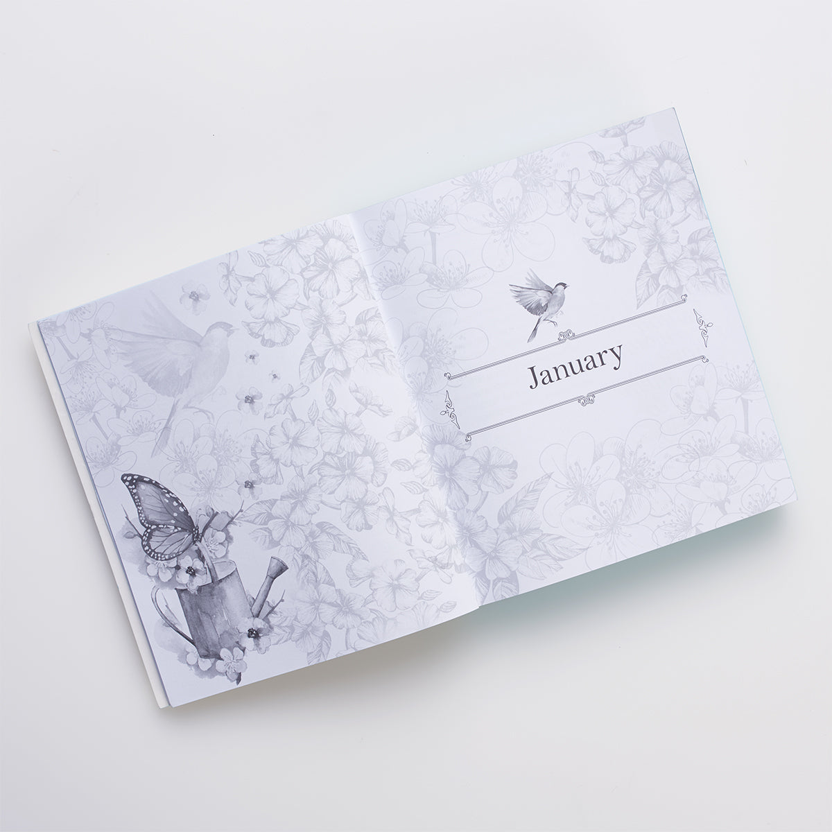 The Illustrated Words of Jesus for Women Devotional
by Carolyn Larsen