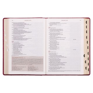 Berry Faux Leather Spiritual Growth Bible