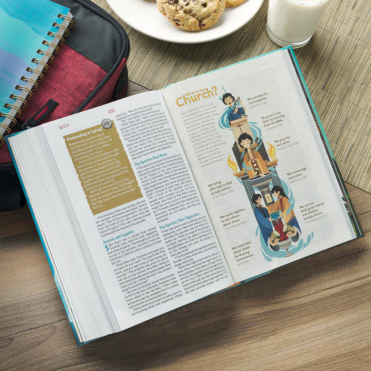 Hardcover Discovery Bible