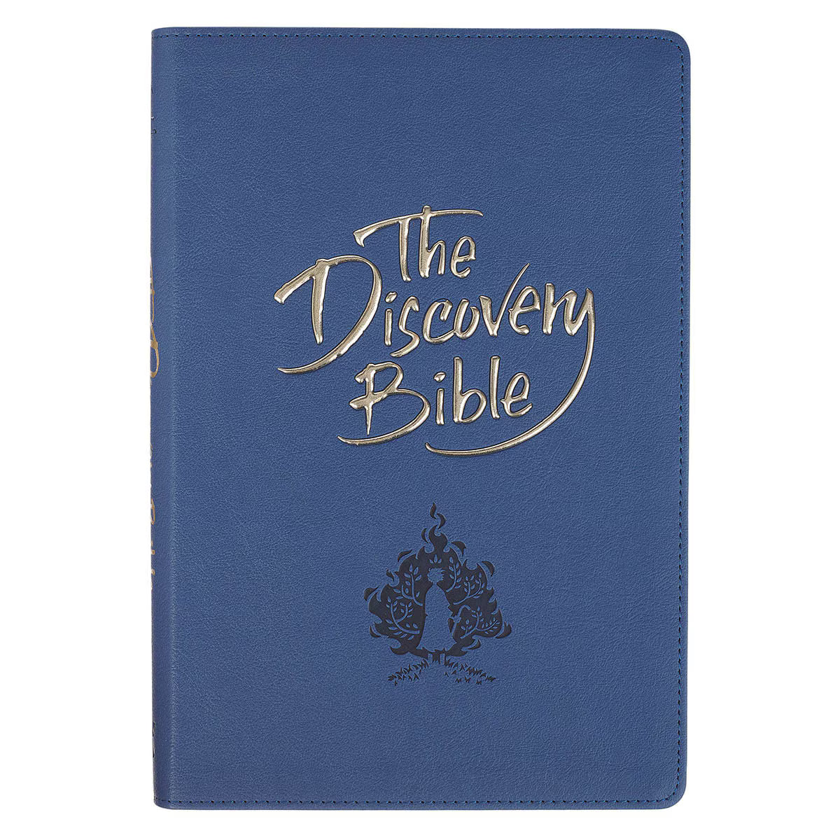 Blue Faux Leather Discovery Bible